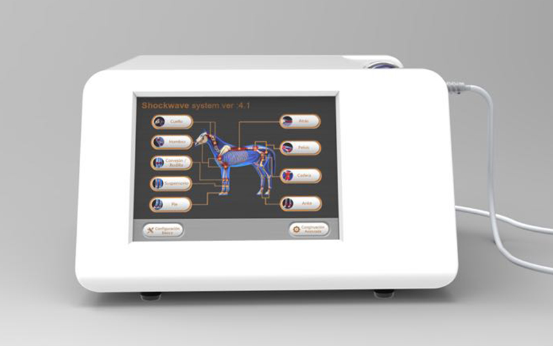 Veterinary shockwave