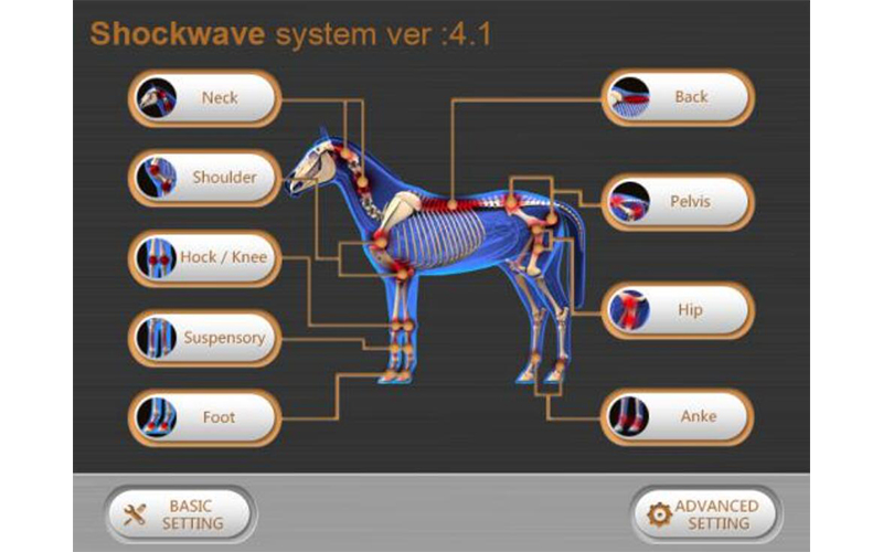 Veterinary shockwave