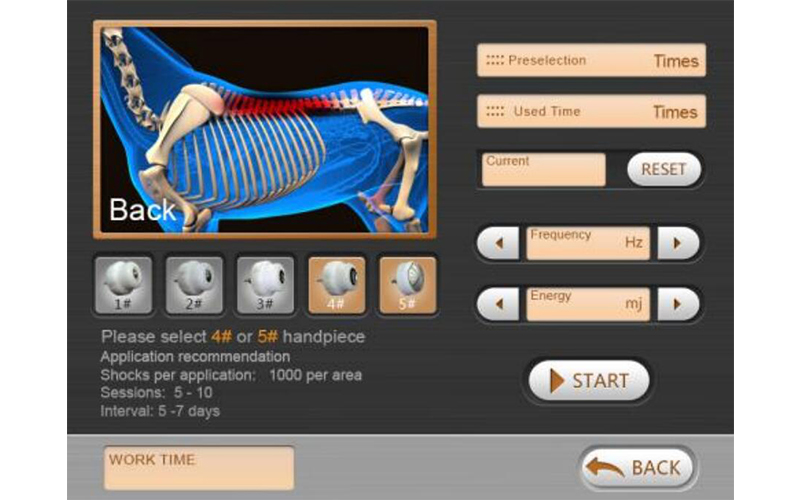 Veterinary shockwave