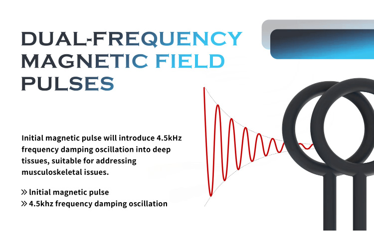 dual frequnecy magnetic field therapy pain relief